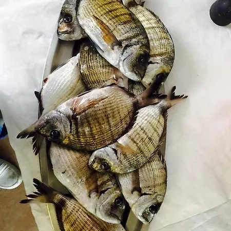 Πανσιόν Vecchie Mura 3*